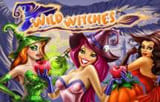 Игровой автомат Wild Witches